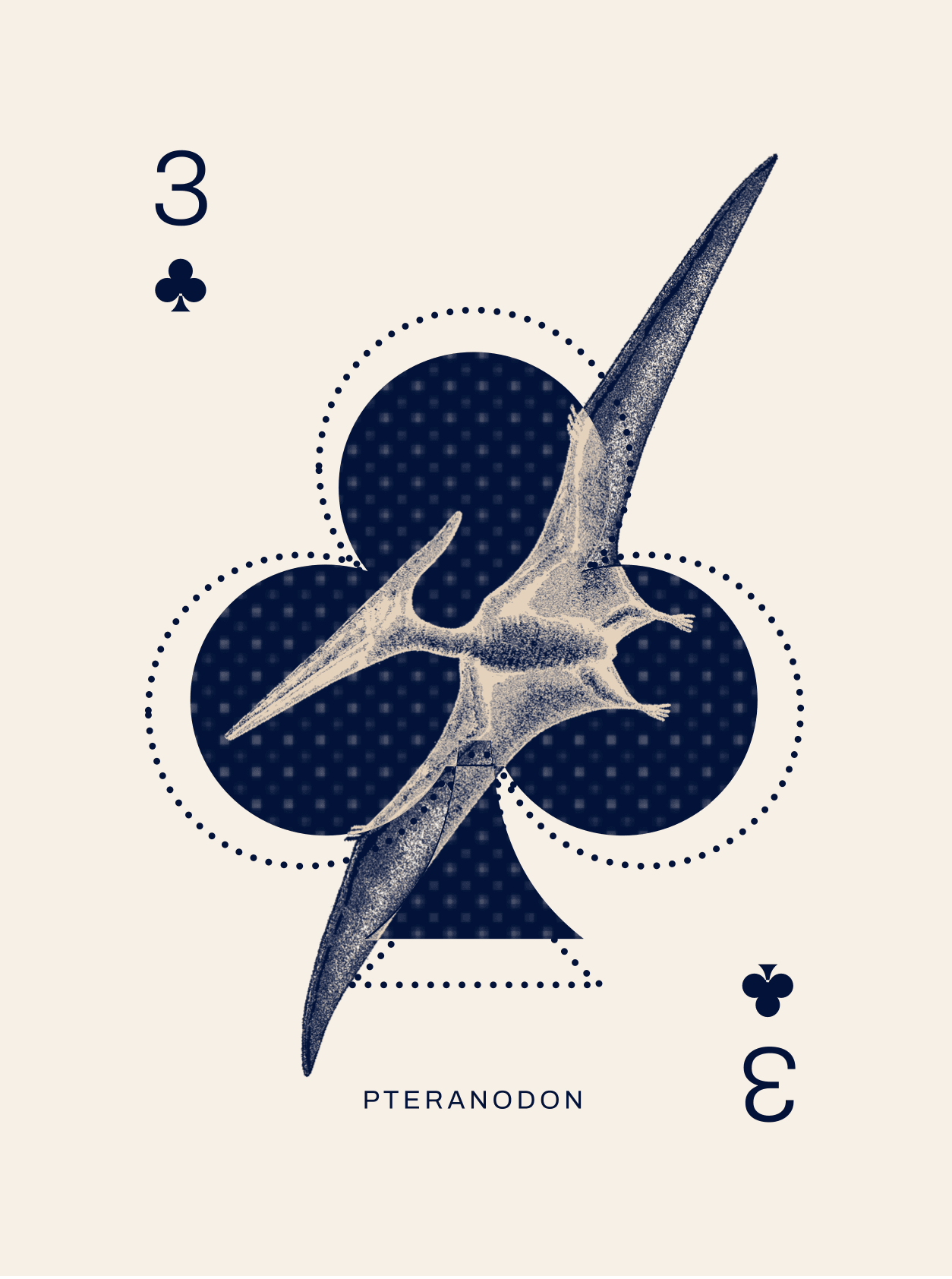 Edition 001: the David Aaron × House of Players playing card
